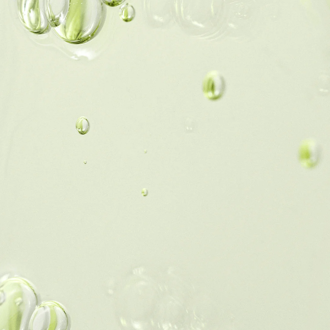 BEAUTY OF JOSEON Calming Serum Green Tea + Panthenol 30ml - Image 2