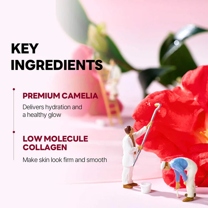 ROUND LAB Camellia Deep Collagen Firming Gel Mask Set - Image 3