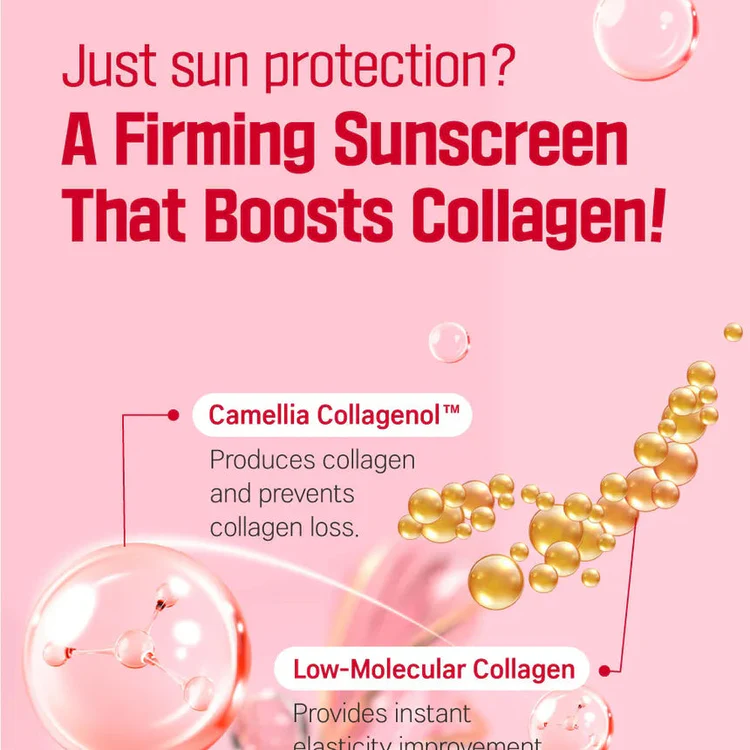 ROUND LAB Camellia Deep Collagen Firming Sun Serum Spf50+ PA++++ 50ml - Image 7