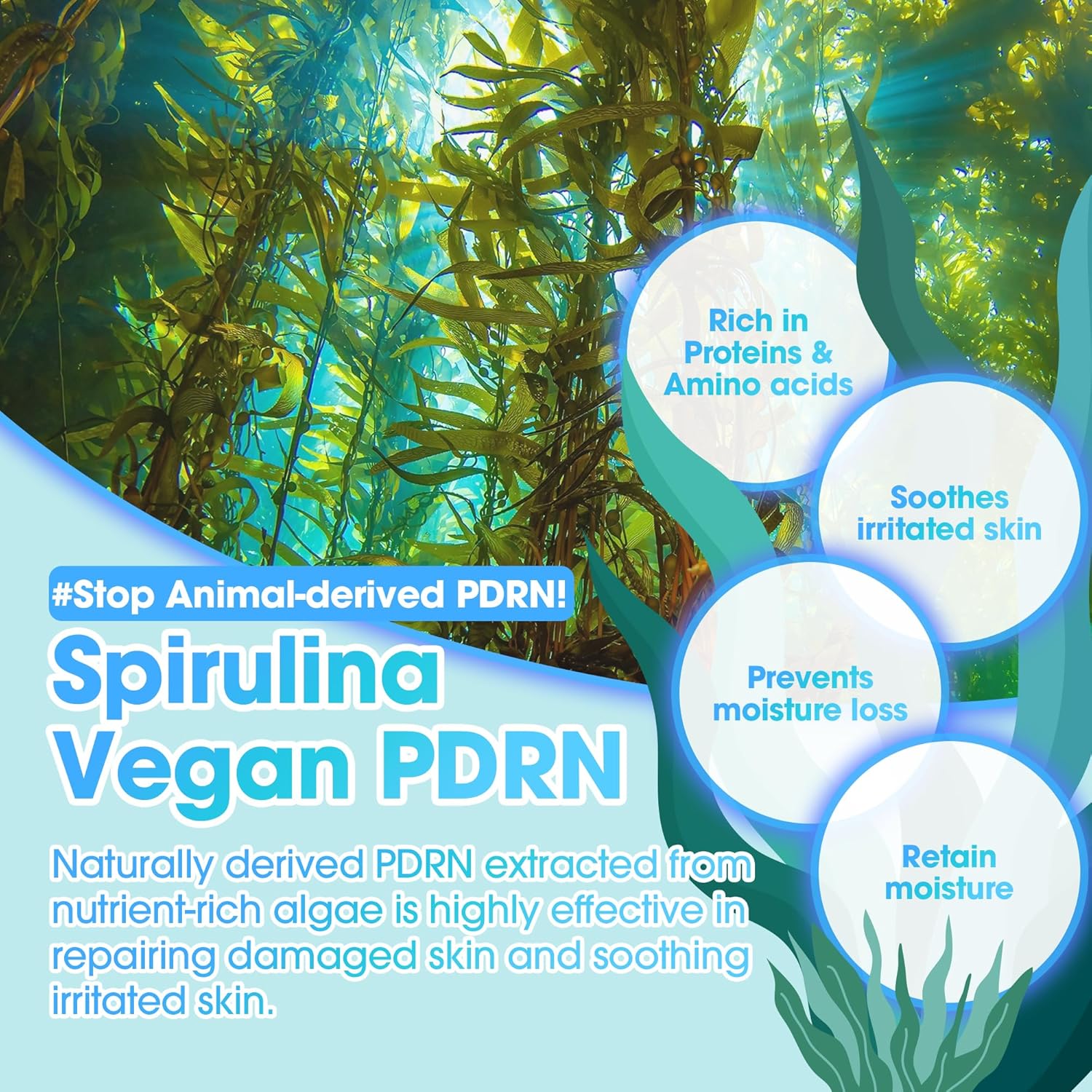 SOME BY MI Spirulina PDRN Soothing Repair Serum 50ml - Image 2