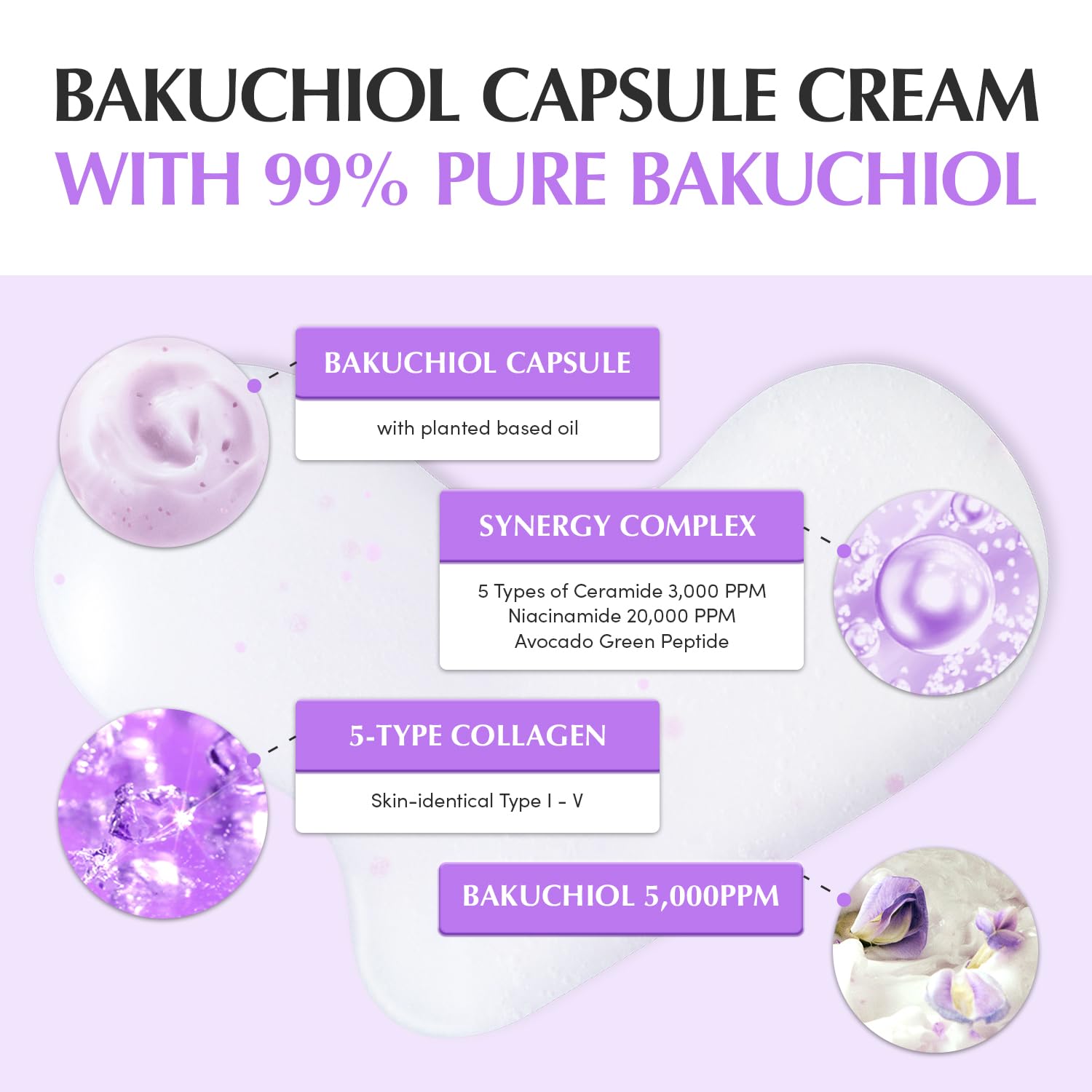EQQUALBERRY Bakuchiol Plumping Capsule Cream 50ml - Image 5