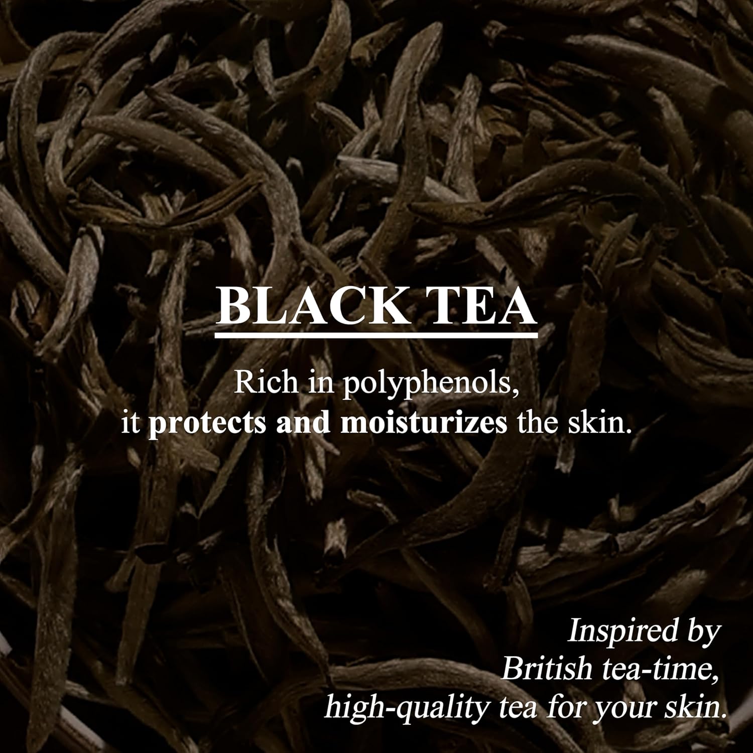 TEABLESS Antique Body Wash #Herb Black Tea 500g - Image 3
