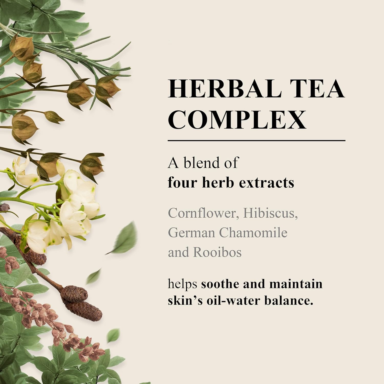 TEABLESS Antique Body Wash #Herb Black Tea 500g - Image 4