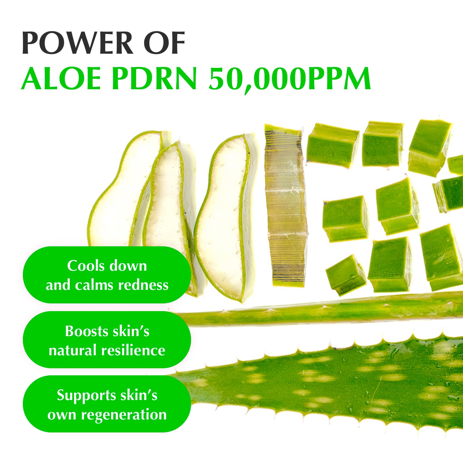 EQQUALBERRY Aloe PDRN Calming Serum 30ml - Image 3