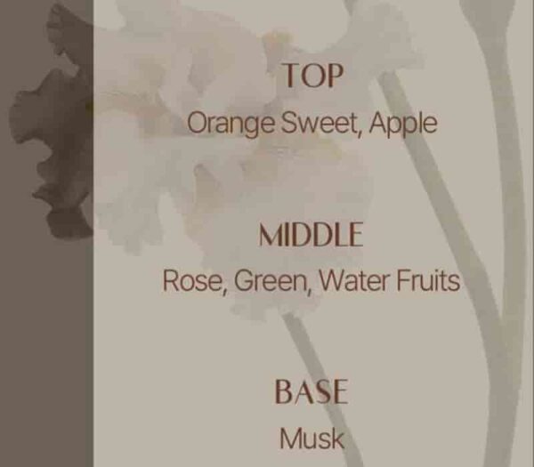 MISE EN SCENE Royal Jelly Protein Shampoo 1000ml - Image 2