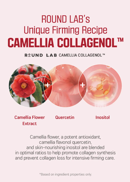 ROUND LAB Camellia Firming Peptide Eye Cream 30ml - Image 8