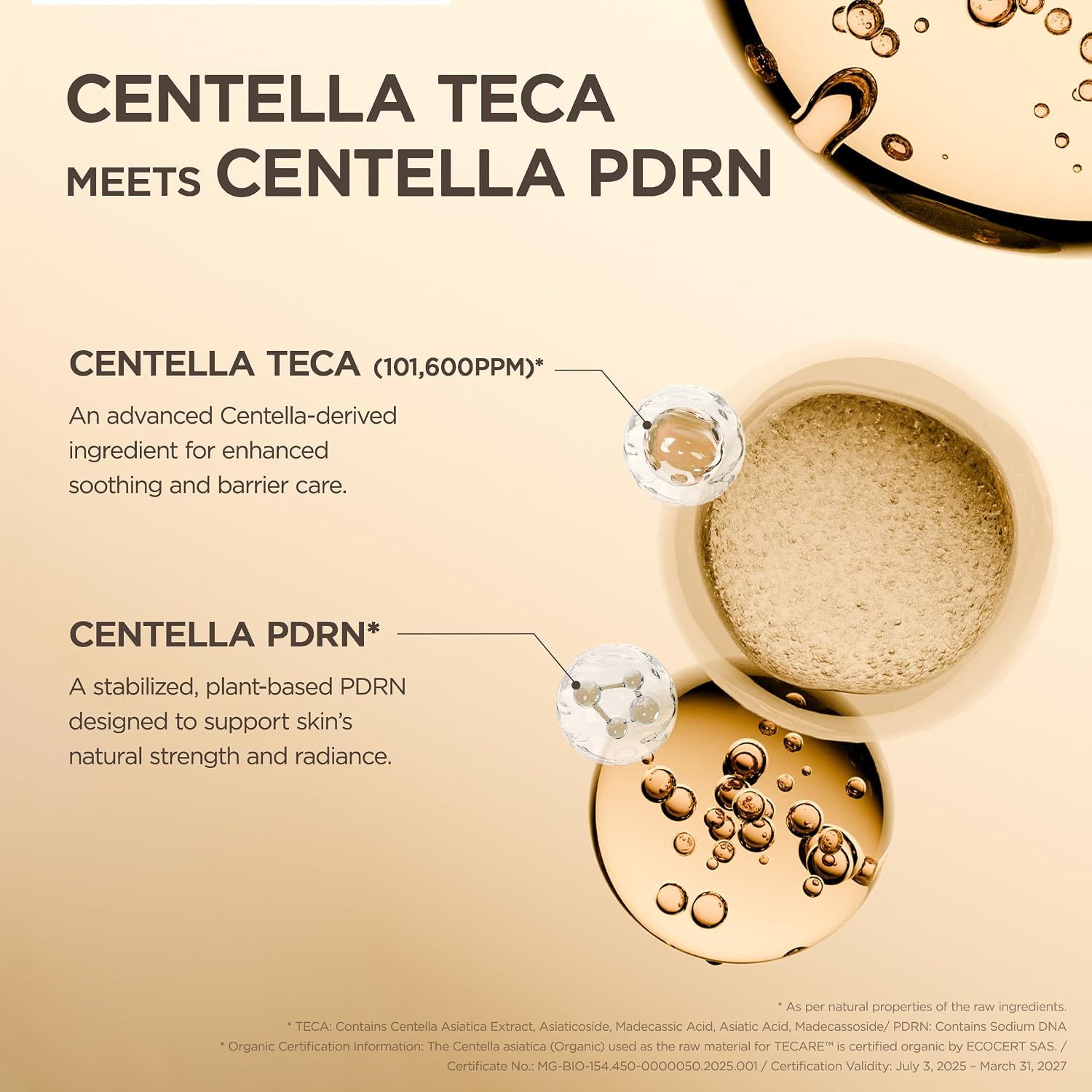 SKIN1004 Madagascar Centella Teca Ampoule 50ml - Image 5